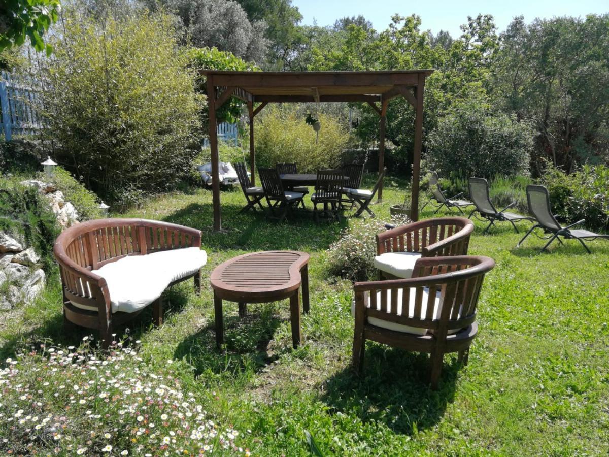 Bastide Provencale Les Muriers D'Engaspaty Seillans Εξωτερικό φωτογραφία