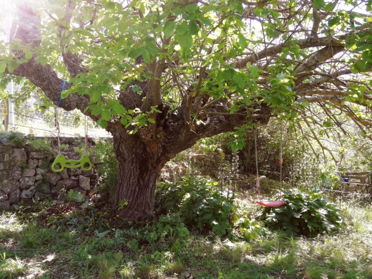 Bastide Provencale Les Muriers D'Engaspaty Seillans Εξωτερικό φωτογραφία