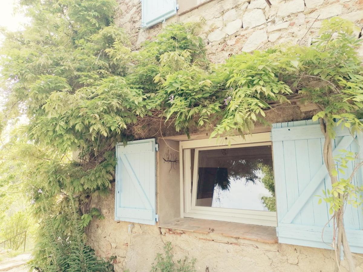 Bastide Provencale Les Muriers D'Engaspaty Seillans Εξωτερικό φωτογραφία
