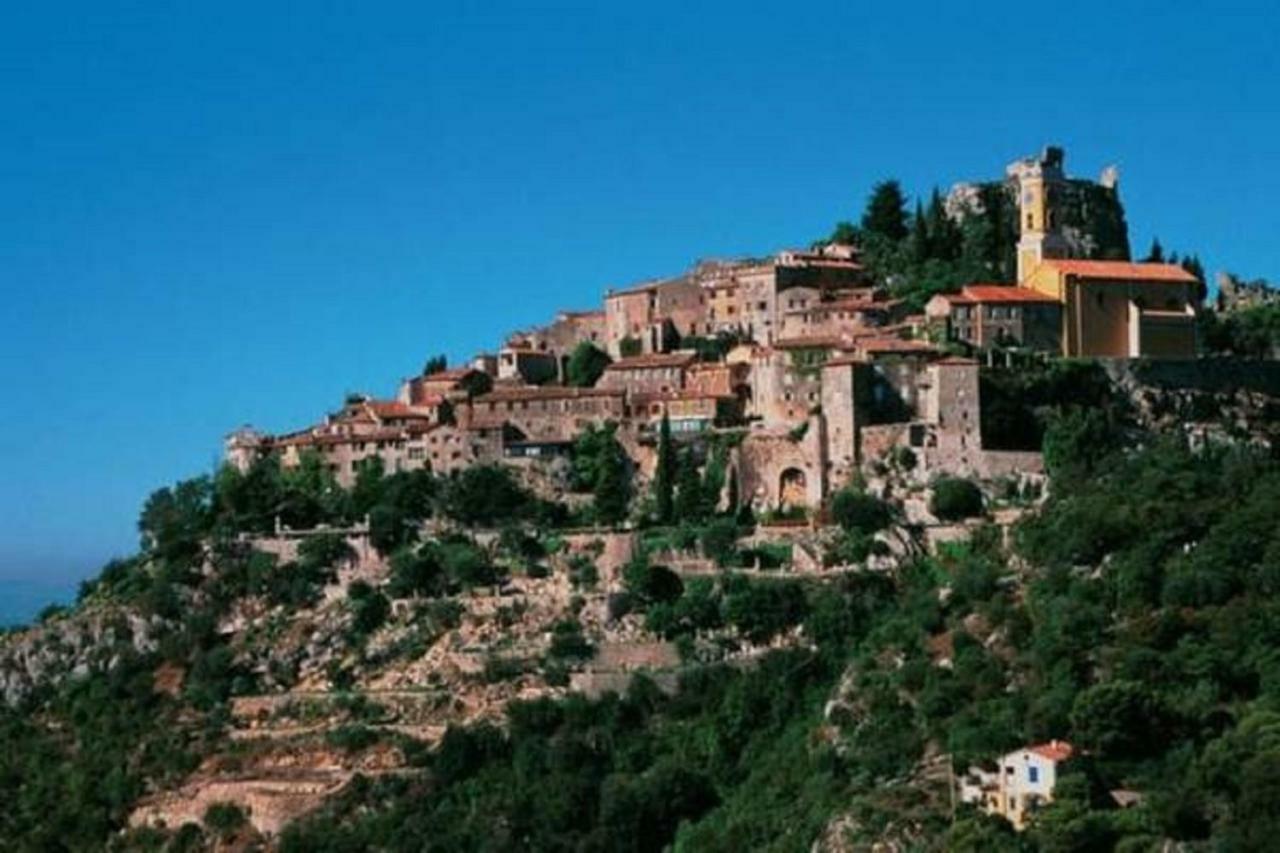 Bastide Provencale Les Muriers D'Engaspaty Seillans Εξωτερικό φωτογραφία